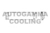AUTOGAMMA 102752 Condenser, air conditioning